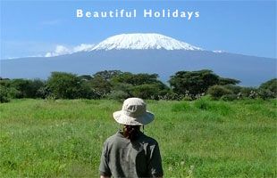 enjoying an sightseeing holiday in africa
