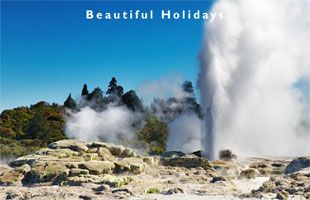 beautiful north island picture